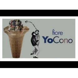yocono