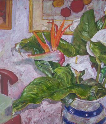 i-fiori-di-cristina
