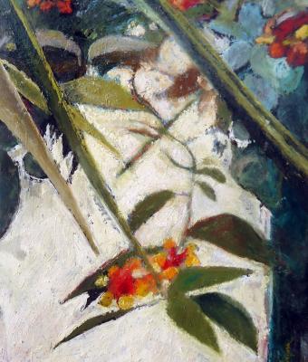 lantana-e-yucca