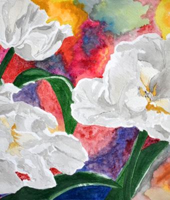 tulipani-bianchi