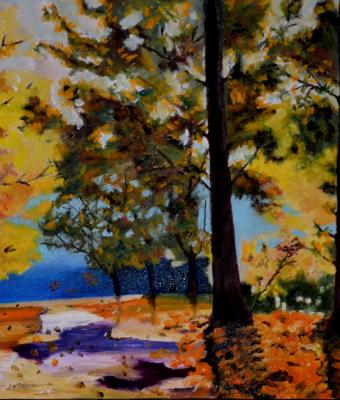 autunno-nel-bosco