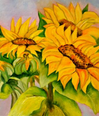 girasoli