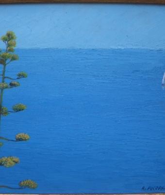 agave-nell-azzurro-ligure