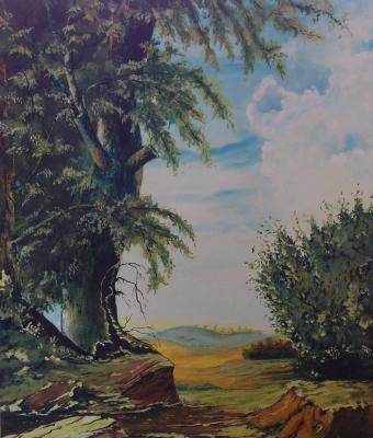 colline-dell-astigiano
