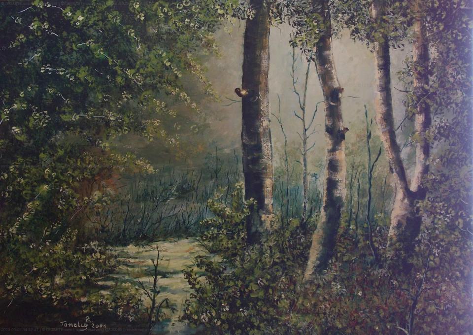 riflessi-di-luce