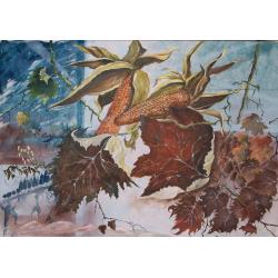 misteriosa-natura-di-cambiamen