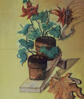 vasi-con-fiori