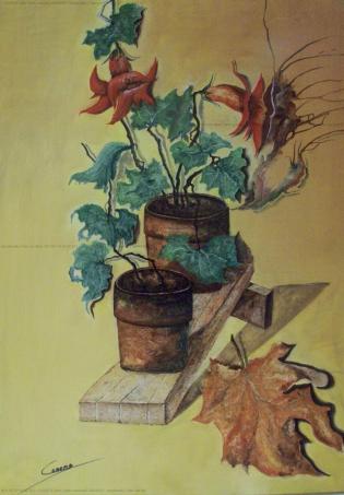 vasi-con-fiori