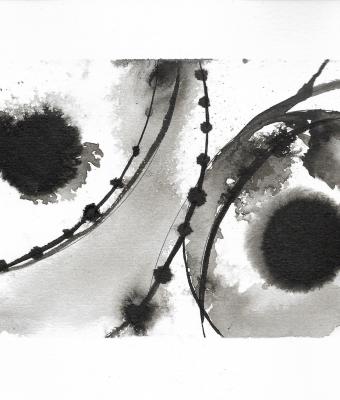 grey-iris