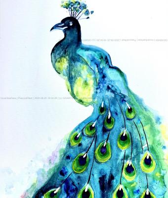 peacockrest