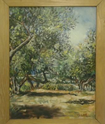 uliveto-siciliano