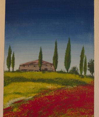 collina-di-papaveri