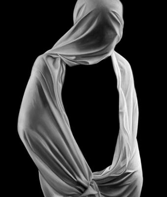 the-anonymous