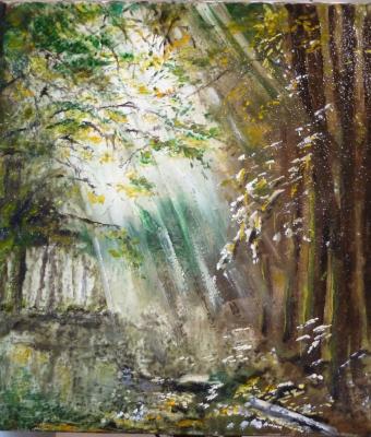 ray-of-sunshine-in-the-woods