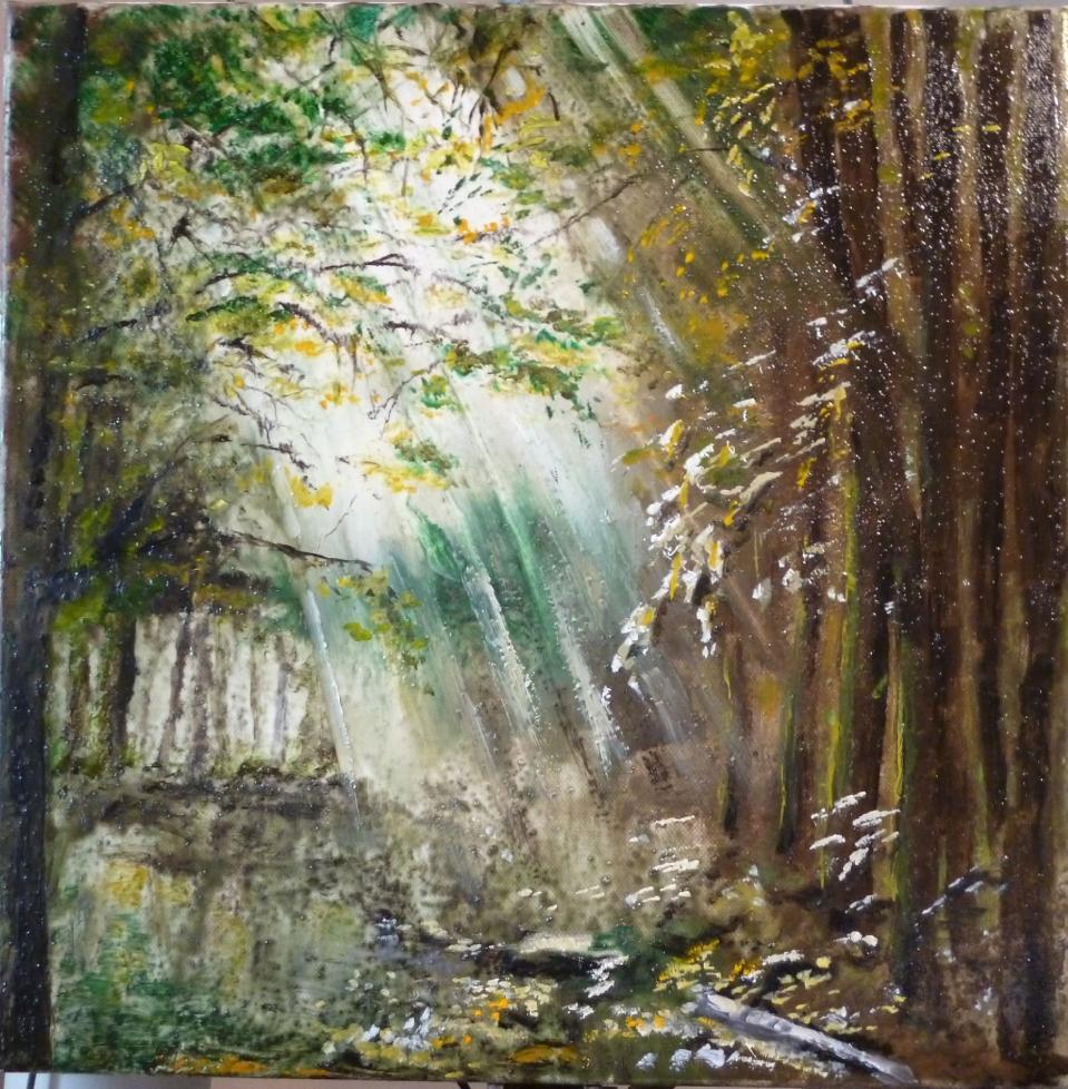 ray-of-sunshine-in-the-woods