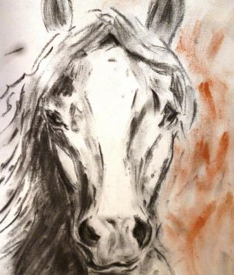 breno-horse