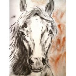 breno-horse