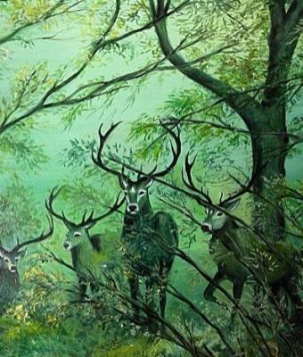 ritorno-alla-natura