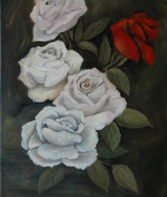 rosa-rossa