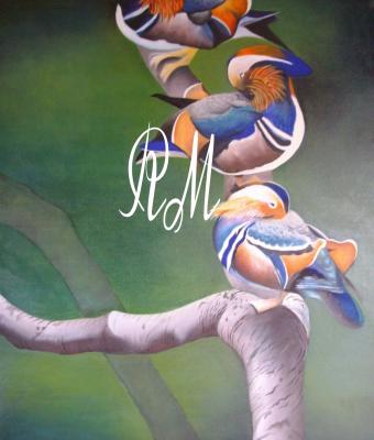 tre-oche-mandarine-sul-fiume