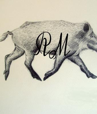 cinghiale-in-corsa