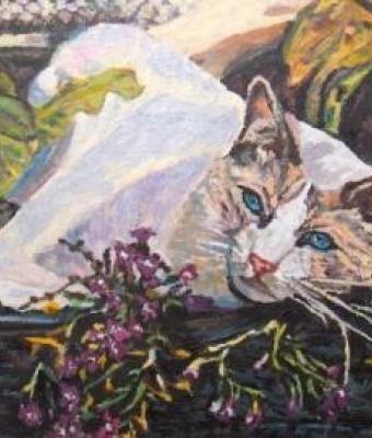 gattino