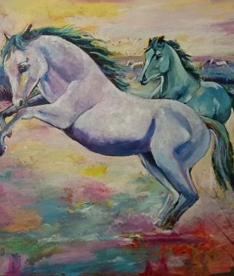 cavalli-della-camargue