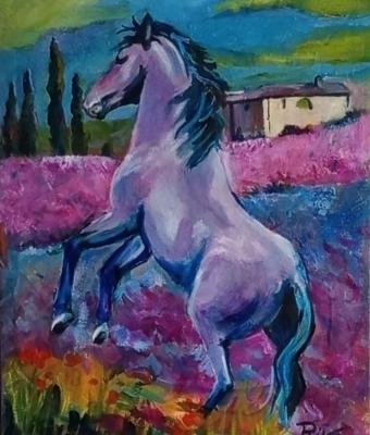 cavallo-in-un-campo-di-lavanda