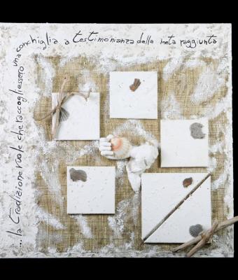 pecten-pilgrimea