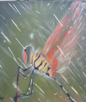 libellula