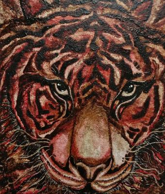 felino-divino