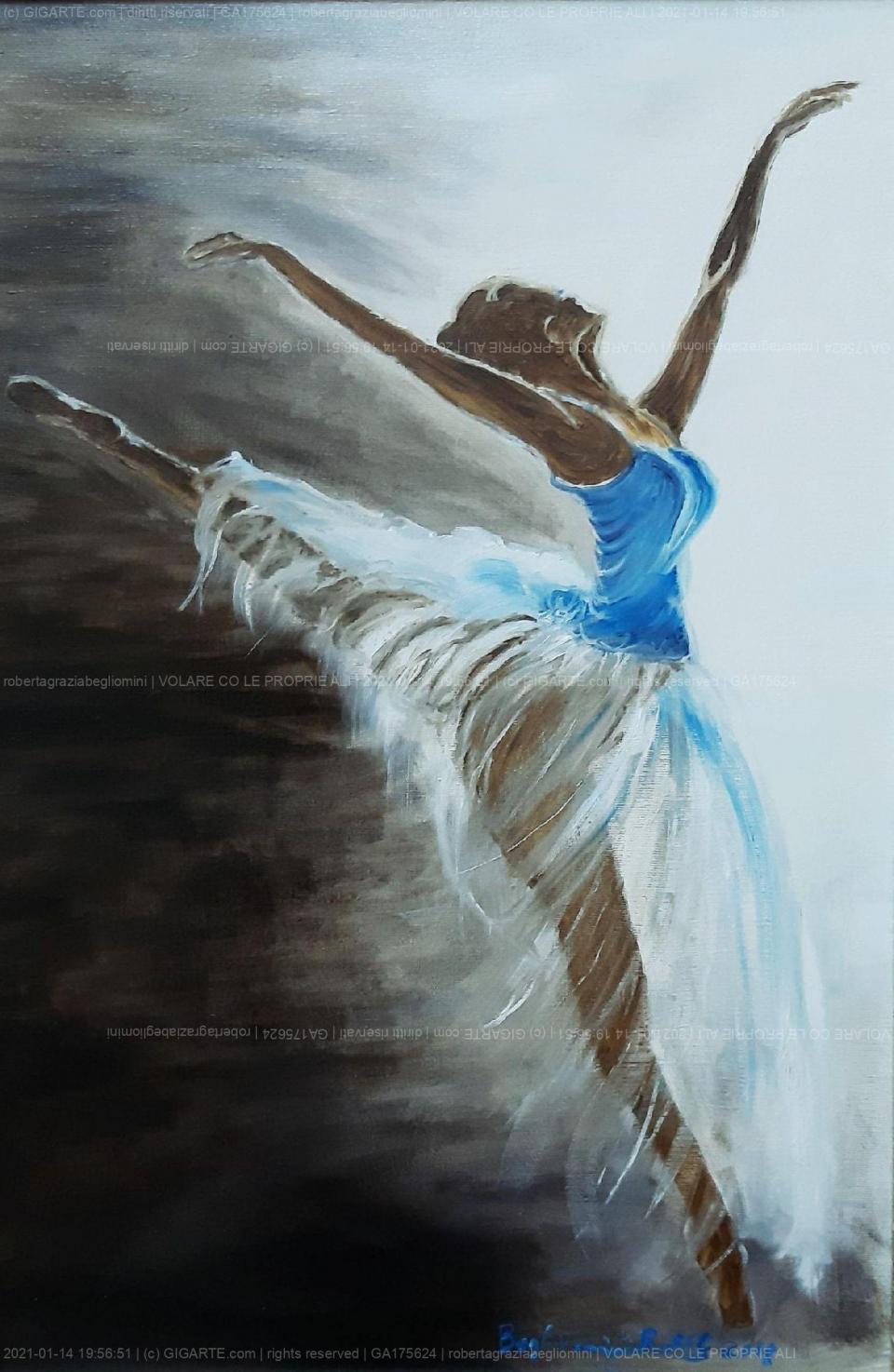 volare-co-le-proprie-ali