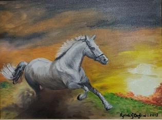 tramonto-selvaggio