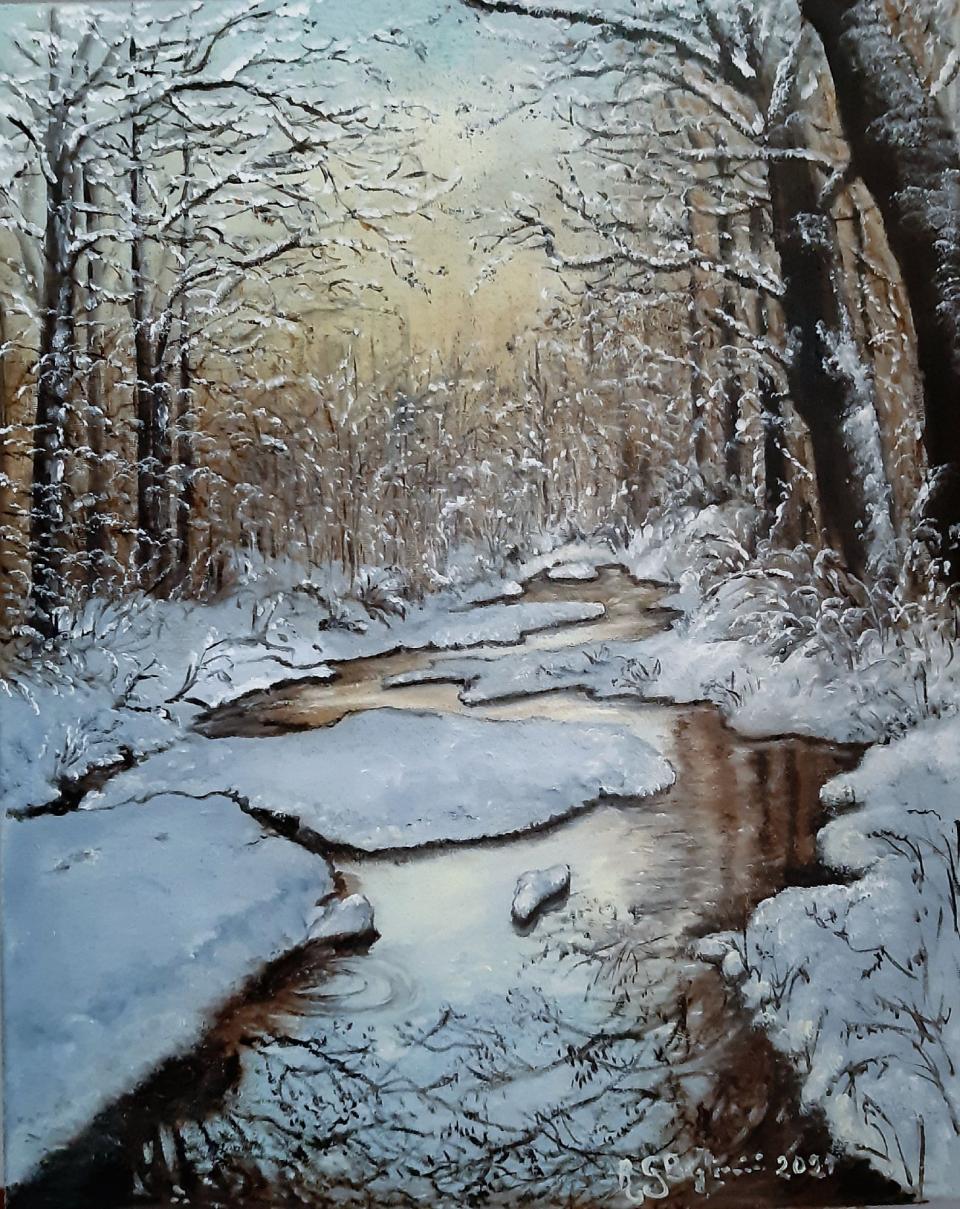riflessi-ed-emozioni-nel-bosco