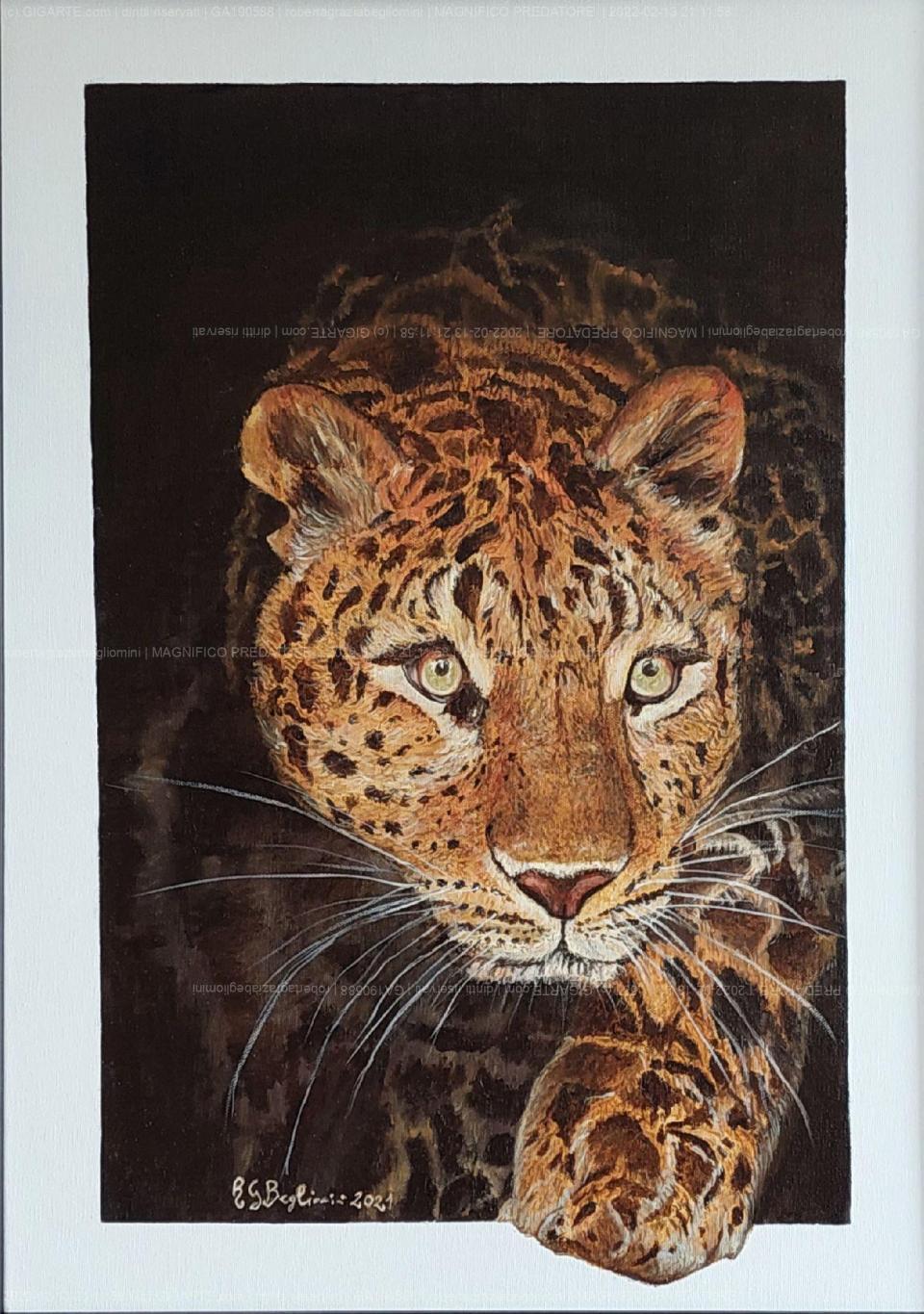 magnifico-predatore