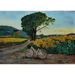 in-bici-in-campagna-prima-del
