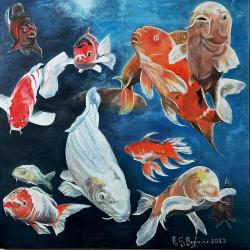 acquario