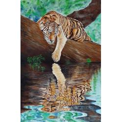 riflessione-felina