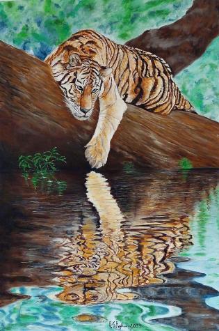 riflessione-felina
