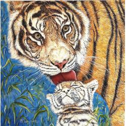 amore-felino