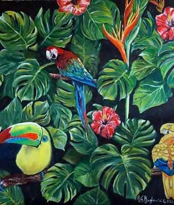parrots-in-the-garden