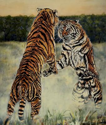 il-coraggio-della-sfida