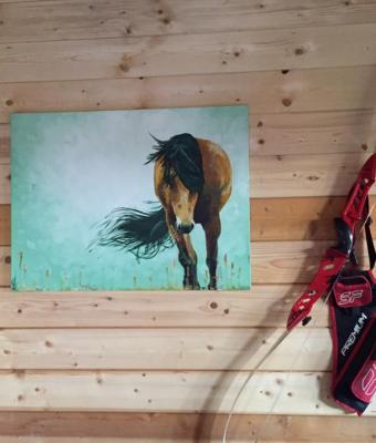cavallo