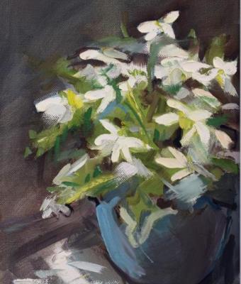 sofia-bergman-flowers