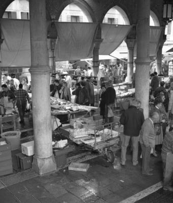 mercato-di-rialto