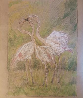 flamingo