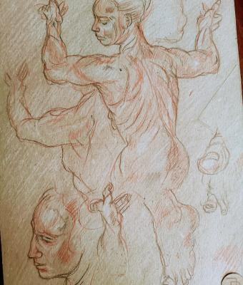 studio-della-sibilla-libica