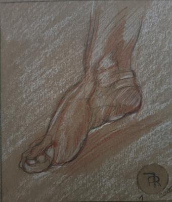 anatomia-della-liberta