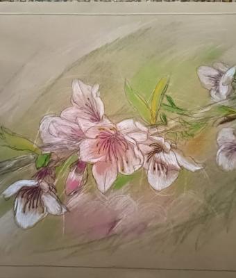 sussurri-di-primavera