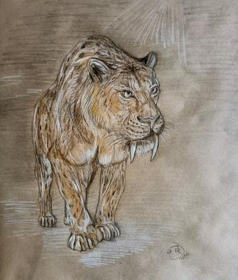 la-tigre-con-i-denti-a-sciabol